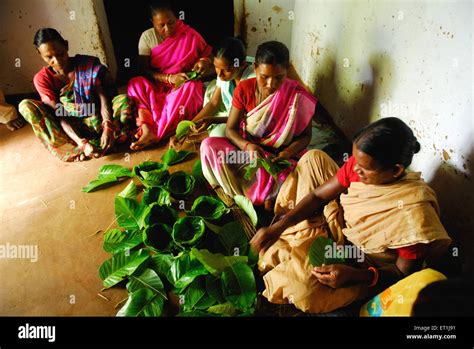 women making bowls with leaves, Ho tribe, tribal people, Chakradharpur, West Singhbhum ...