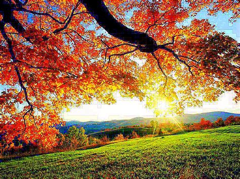 Sunny Autumn Day Wallpapers - Wallpaper Cave