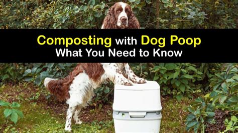 Composting Dog Poop - Dog Manure Fertilizer