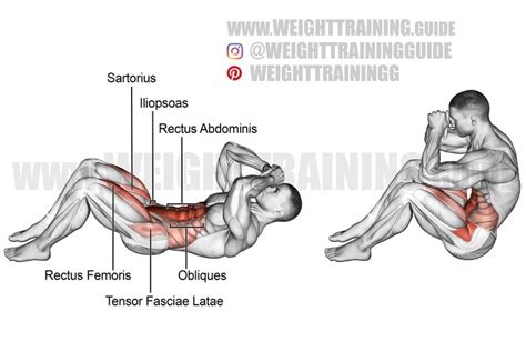 Sit-up exercise instructions and video | WeightTraining.guide ...