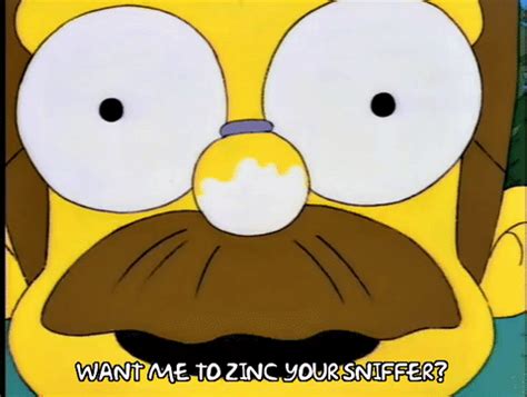 Ned flanders season 5 episode 8 GIF - Find on GIFER