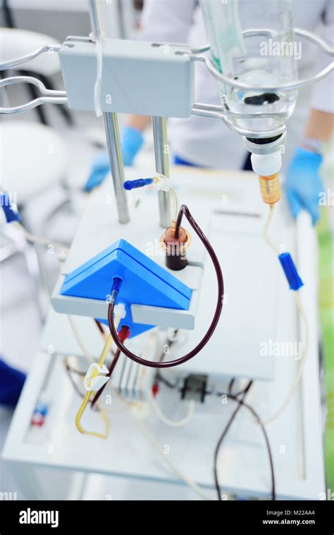 procedure plasmapheresis - the procedure of purification of blood and ...