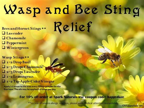 Wasp and Bee Sting Relief** | Sting relief, Bee sting relief, Remedies for bee stings