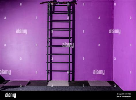 Empty gym fitness hall with sports equipment and a ladder on the wall Stock Photo - Alamy