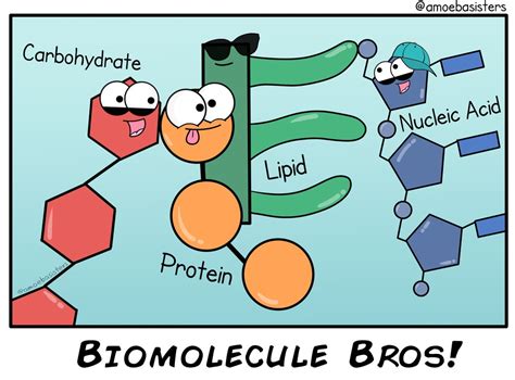 Microbial Metabolism - SCIENTIST CINDY