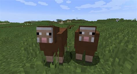 What are the rarest sheep colors in Minecraft?