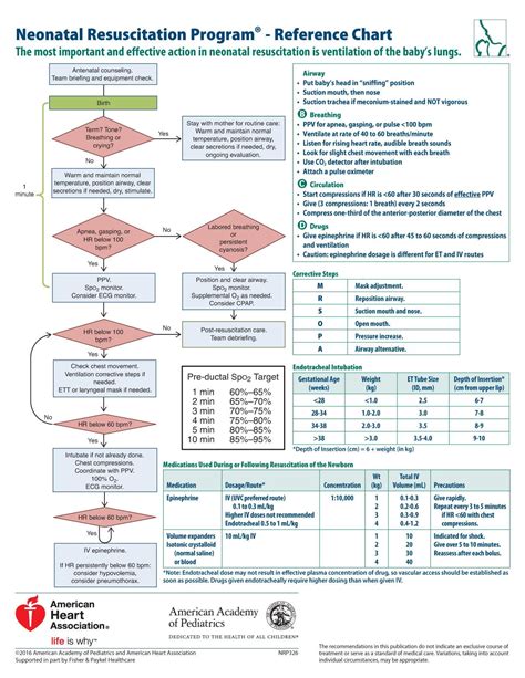 Nrp: Neonatal Resuscitation Program Reference Chart (Other) - Walmart.com