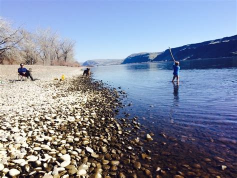 Maryhill State Park - 16 Photos & 12 Reviews - Campgrounds - 50 Hwy 97, Goldendale, WA - Phone ...