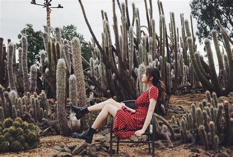 Winter Solstice in the Sonoran Desert | by Kalypso Skitz | Wandering Bones | Medium