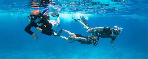 Snorkeling in PUERTO VALLARTA with Dressel Divers