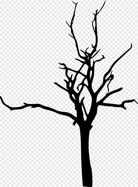 Branches Leaves Silhouette Clipart