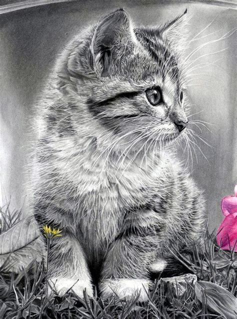 356 best images about Drawings on Pinterest | Coloring, Cat drawing and ...