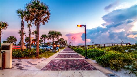 Stunning Jacksonville: HDR 4K Ultra HD Palm Tree Pathway