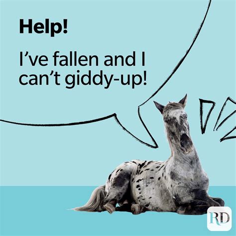 30 Horse Puns | Reader's Digest