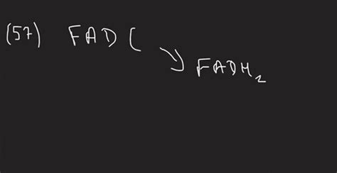 SOLVED:Which reactions of the citric acid cycle transfer energy as FADH2