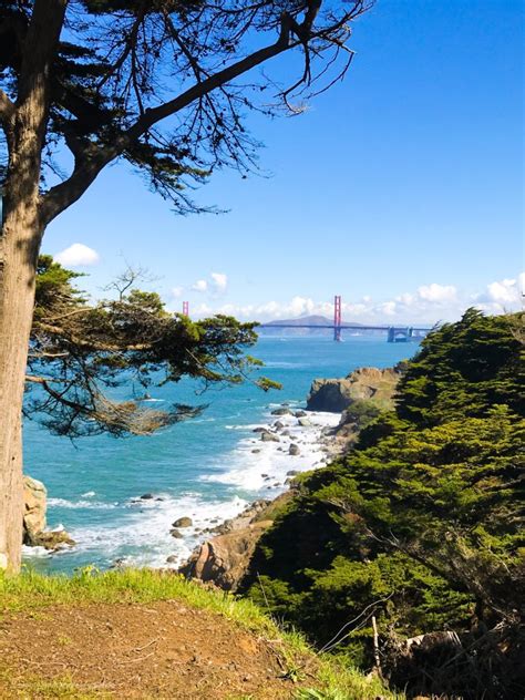 Guide to Lands End San Francisco with Kids - What to Expect | Henry and ...