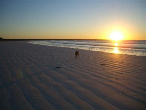 Fowlers Bay Beach | Fowlers Bay beach, South Australia | baldryk | Flickr