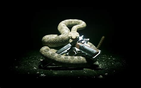 Moving Snake Wallpaper - WallpaperSafari