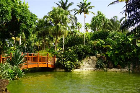 La Guadeloupe en famille : le jardin botanique de Deshaies - Blog voyage