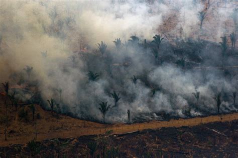 Amazon fires: Impact on rainforest in and around Brazil — in photos