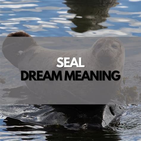 Seal Dream Meaning - Symbol Genie