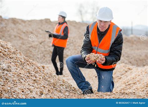 Paper mill factory workers stock image. Image of lumber - 80362647