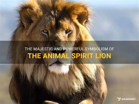 The Majestic And Powerful Symbolism Of The Animal Spirit Lion | ShunSpirit