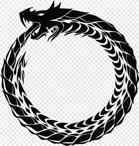 มังกรดำ, Ouroboros กราฟิกที่ปรับขนาดได้, มังกร, สัตว์, ดำและขาว png | PNGEgg