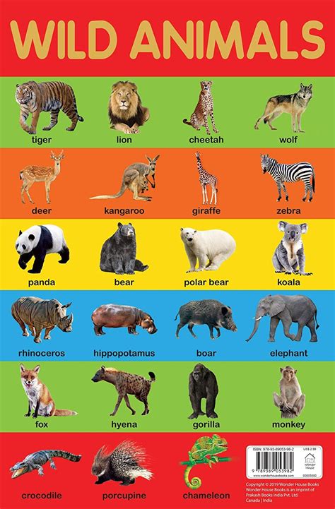 All Wild Animals Chart