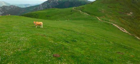 Mountains of Asturias Ride | IVERYAN