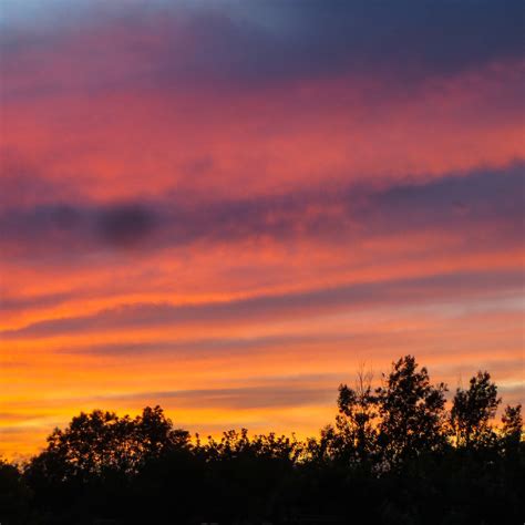 Sunset over the Water Meadows | Dorchester Dorset UK | Tudor Barker ...