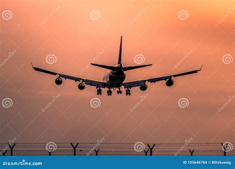 Airplane landing at sunset stock photo. Image of aviation - 105646784