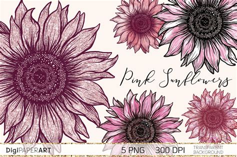 Pink Sunflower PNG, Sunflower Sublimation design (913782) | Characters | Design Bundles