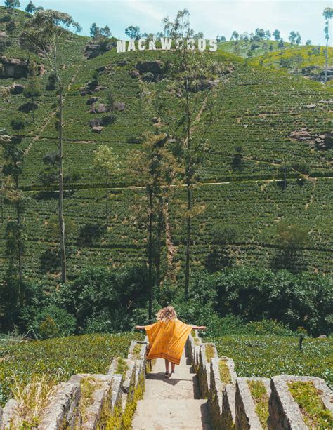 NUWARA ELIYA | Explore Tea Plantations of Nuwara Eliya, Sri Lanka