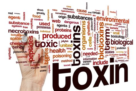 Environmental Toxin Profile (172 toxins) – Living Health Market