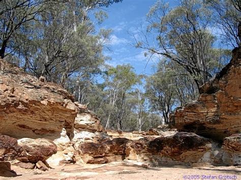 Idalia National Park QLD @ ExplorOz Places