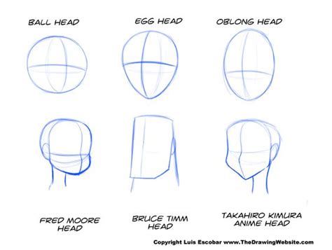 Top more than 64 head sketch reference best - seven.edu.vn