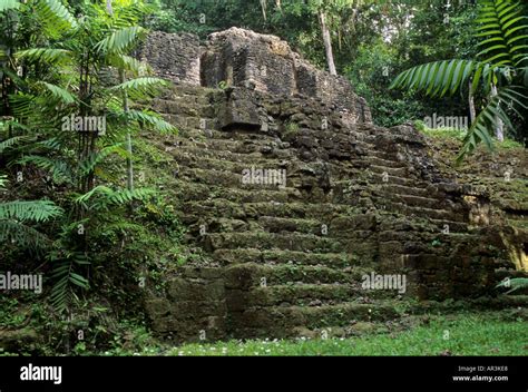 Tikal, Peten, Guatemala Stock Photo - Alamy