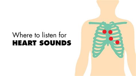 Heart Sounds Valve Closure Diagrams Heart Sounds Auscultatio