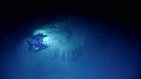 Amazing new images from the deep ocean - July 11, 2018. From May 22 through July 2, 2018, NOAA ...