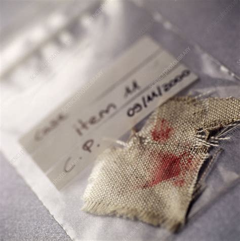 Blood forensics - Stock Image - H200/0343 - Science Photo Library