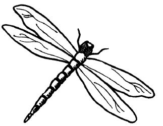 Free Dragonfly Outline Cliparts, Download Free Dragonfly Outline Cliparts png images, Free ...