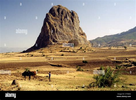 Ethiopia, Tigray, Tigray Region Stock Photo - Alamy