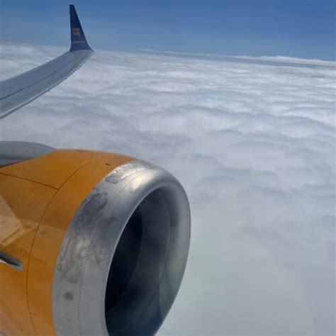 Icelandair Customer Reviews - SKYTRAX