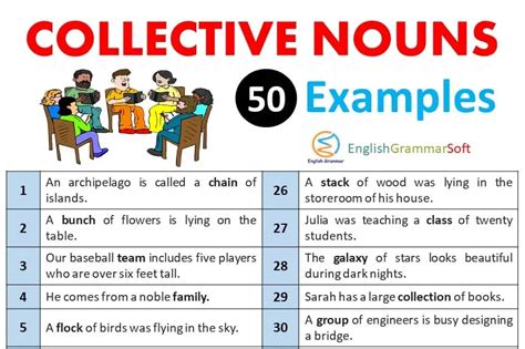 10 Examples Of Collective Nouns