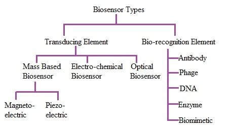 Types of Biosensors | Working principle of Biosensors types