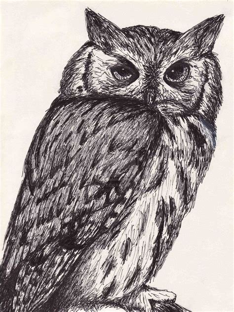 Pen And Ink Animal Drawings at PaintingValley.com | Explore collection ...