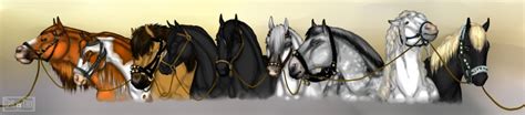 D&D – Horse Descriptions | Dungeon Master Assistance