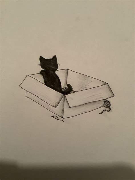 Cat in a box drawing in 2024 | Cat drawing, Drawings, Sketchbook art inspiration