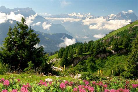 Summers Holidays in the French Alps - Alpine Escape